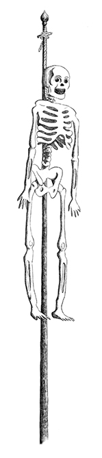 Federzeichnung eines Skeletts an einer Stange